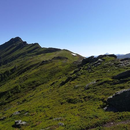 Muehlnerhof Familie Gruber Bed & Breakfast Aich  Eksteriør bilde