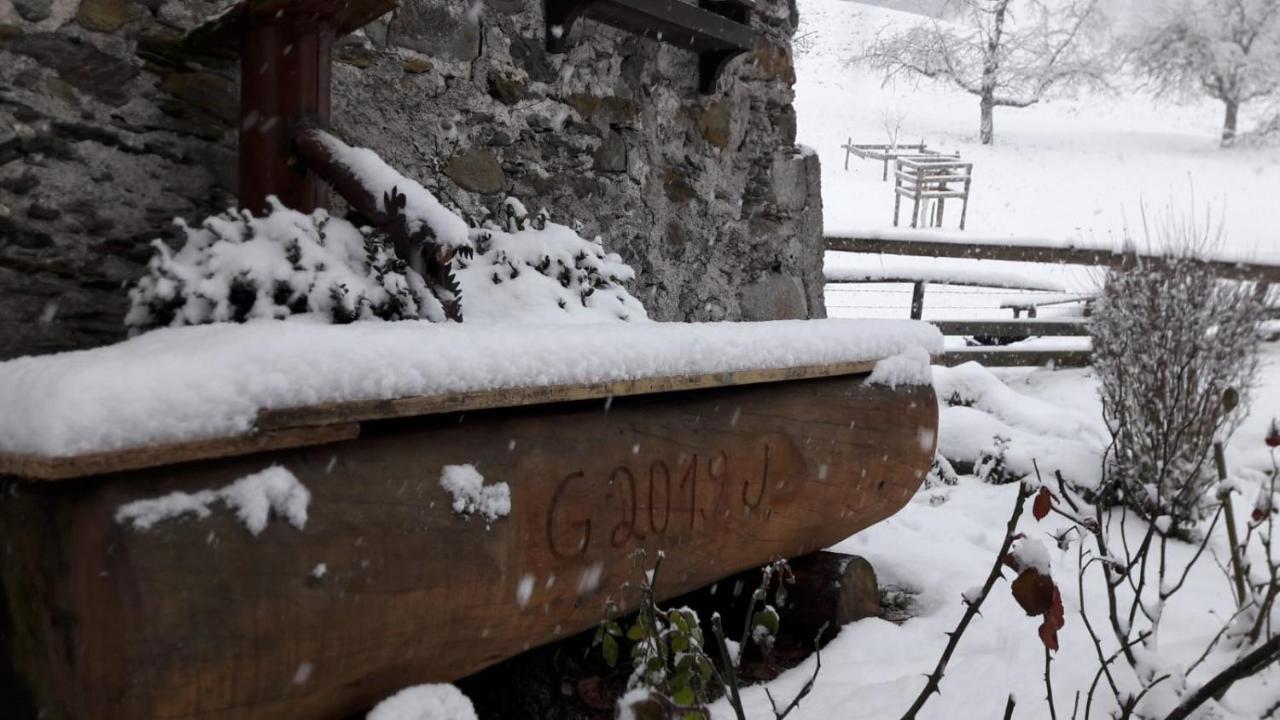 Muehlnerhof Familie Gruber Bed & Breakfast Aich  Eksteriør bilde