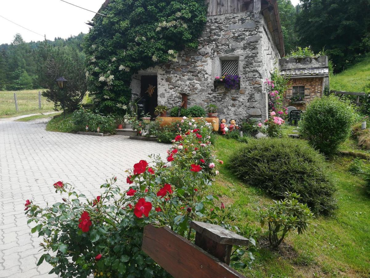 Muehlnerhof Familie Gruber Bed & Breakfast Aich  Eksteriør bilde