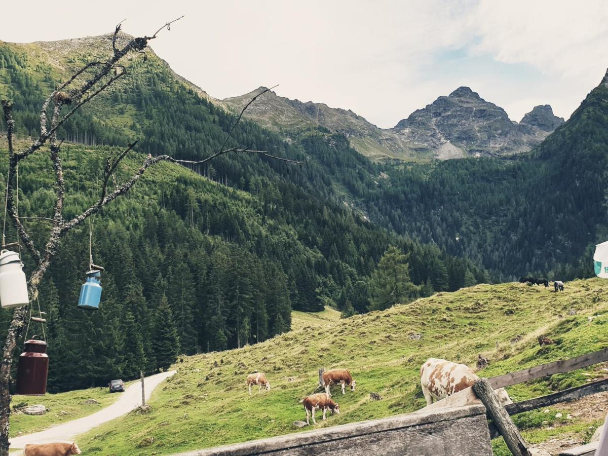 Muehlnerhof Familie Gruber Bed & Breakfast Aich  Eksteriør bilde