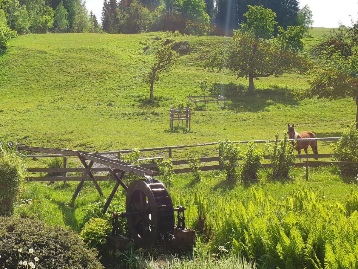 Muehlnerhof Familie Gruber Bed & Breakfast Aich  Eksteriør bilde